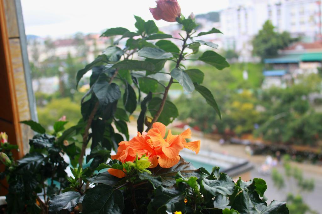 Gold Night Hotel Dalat Exterior foto